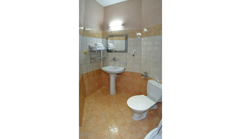 Hotel U TŘÍ LVŮ České Budějovice